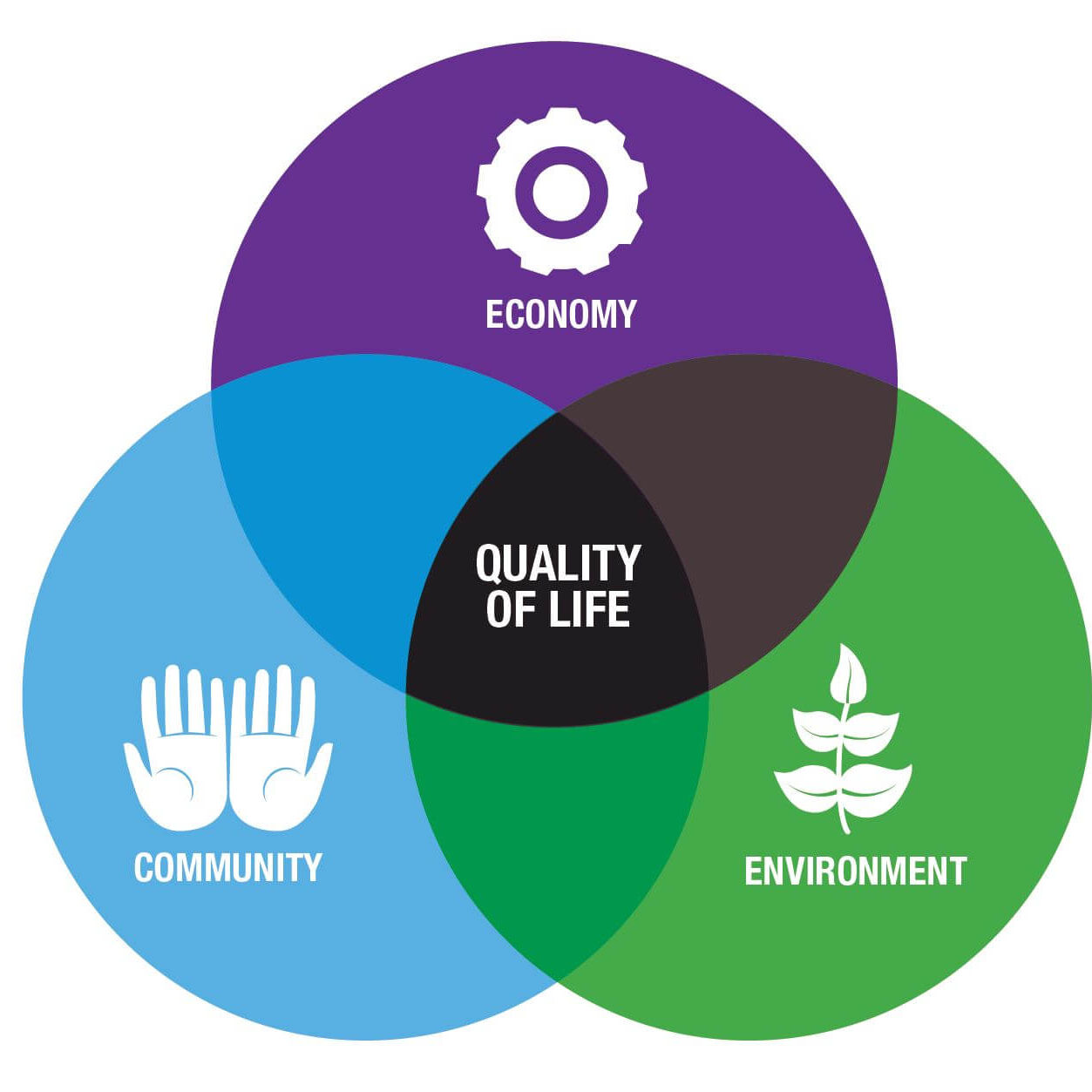 quality-life-img quality-life-img